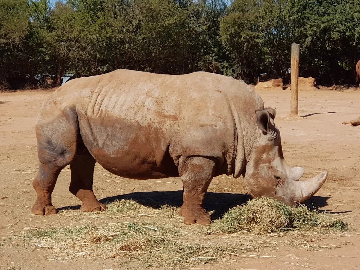 Rabat Zoo – Wildlife Park and Nature 2