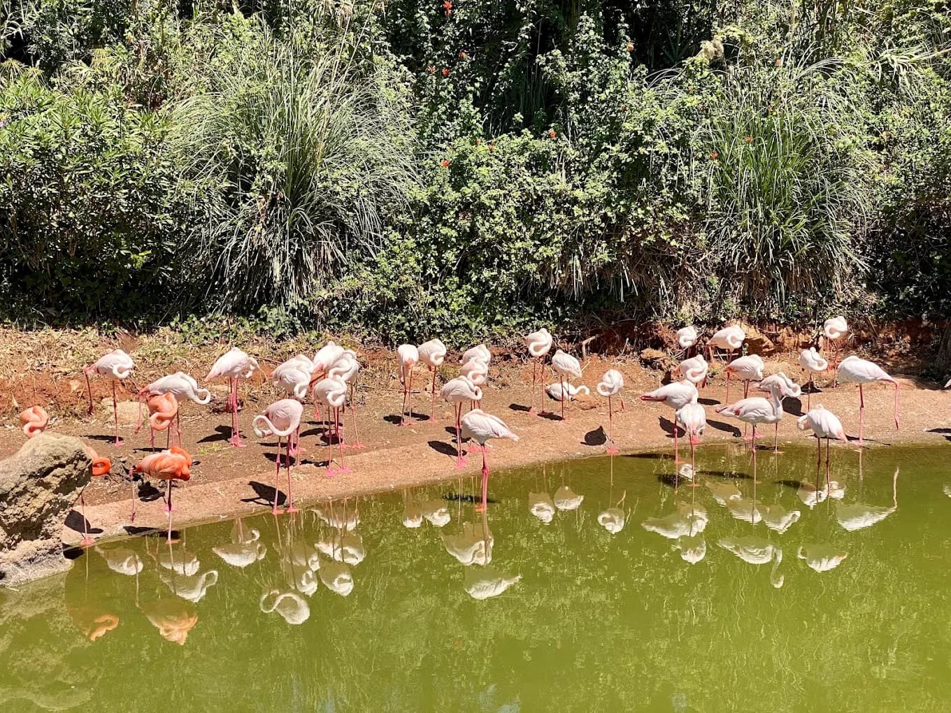 Rabat Zoo – Wildlife Park and Nature 3