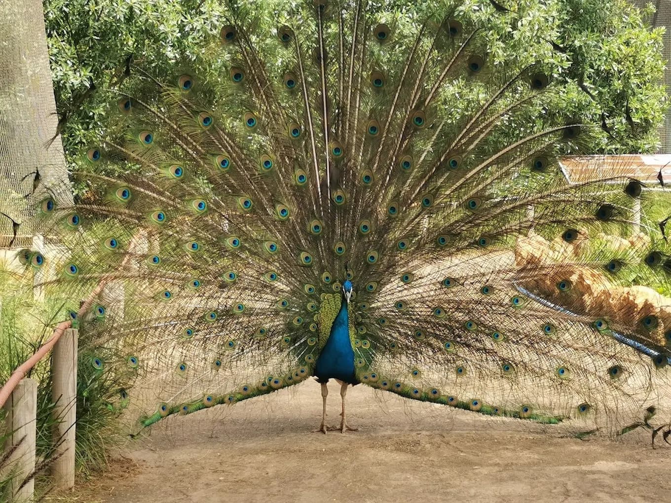 Rabat Zoo – Wildlife Park and Nature 4