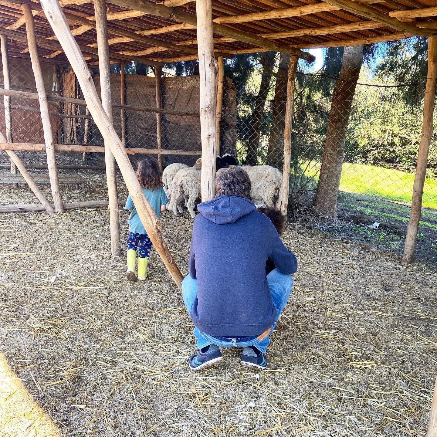 Ferme Nouzha – Expérience éducative au cœur de la nature 5